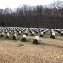 Quantico National Cemetery 872 - Cemeteries