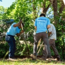 Morgans Irrigation - Lawn Maintenance