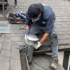 Green Rodent Restoration gallery