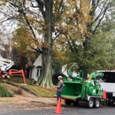 Beaver Tree Service - Tree Service