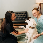 PetVet365 Pet Hospital Louisville / Jeffersontown