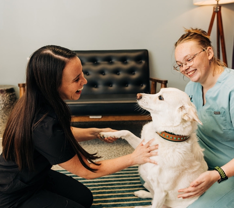 PetVet365 Pet Hospital Louisville / Jeffersontown - Louisville, KY