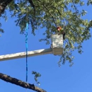 CJ Tree Service - Tree Service