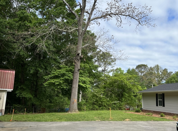 North Georgia Tree Service - Calhoun, GA