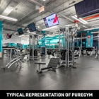 PureGym Springfield