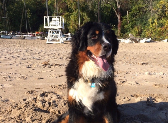 Glencoe Beach - Glencoe, IL