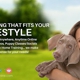 Go Anywhere Dog - Dog Trainer - Eagan