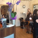 Dana D Hair Studio - Beauty Salons