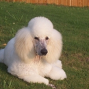 Dog Grooming of Winder - Pet Grooming