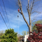 Bigelow's Tree Service and Lawn Care