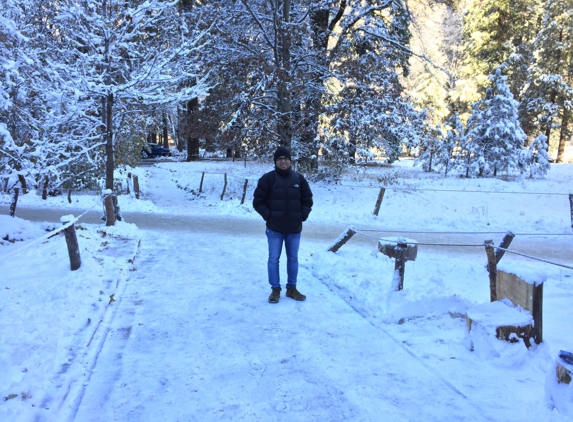 Curry Village - Yosemite National Park, CA