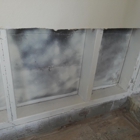 Mold Solutionz 24/7