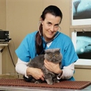 Hollydale Veterinary Hospital - Veterinarians