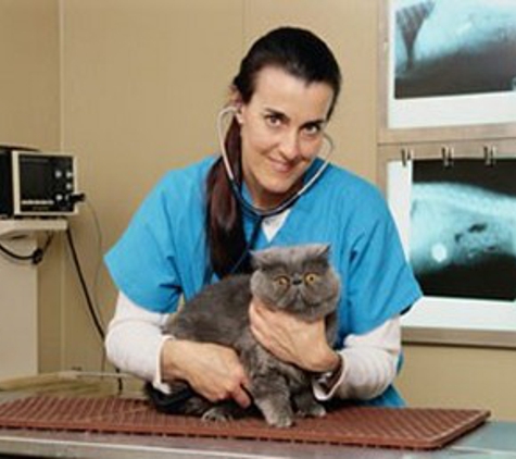 Hollydale Veterinary Hospital - South Gate, CA