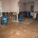 Bailfish Services - Water Damage Restoration