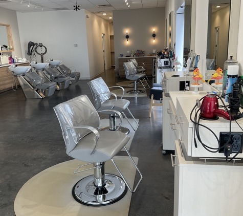 Company Bliss Salon - Naperville, IL. Work stations