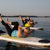 Dragonfly Paddle and Fitness gallery