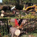 AAA Services of GA - Tree Service