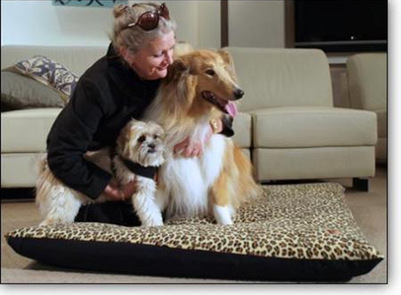 Dogs To Bed - West Wodonga, VIC