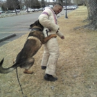 International K9 Training School