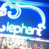 Elephant Thai gallery