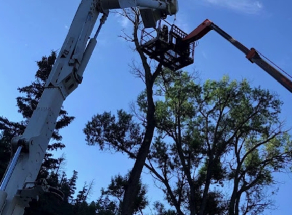 Wilson's Tree Service - Red River, NM