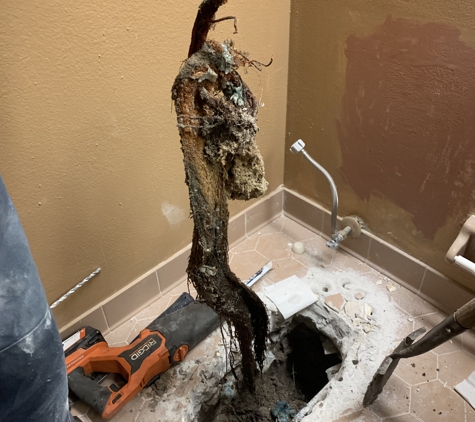 Dunstan & Son Plumbing Co - Leesburg, FL. Tree pulled out that broke pvc