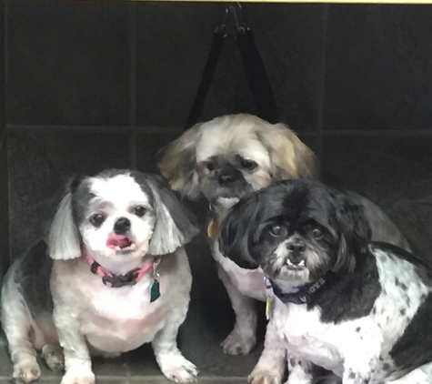 Barb's Dog Grooming - Wichita, KS