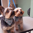 Man's Best Friend Grooming LLC - Pet Grooming