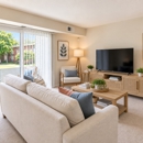 Charlesmont Apartment Homes - Apartments