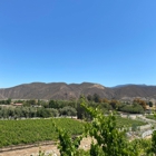 Robert Renzoni Vineyards