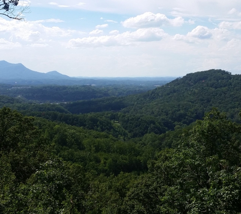 Crazy Irish Tree Service - Sevierville, TN