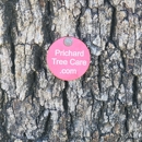 Prichard Tree Care - Tree Service