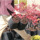 Root Pouch - Lawn & Garden Equipment & Supplies