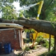 Tennessee Valley Tree Service