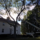 Brothers' Tree Service