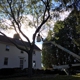 Brothers' Tree Service