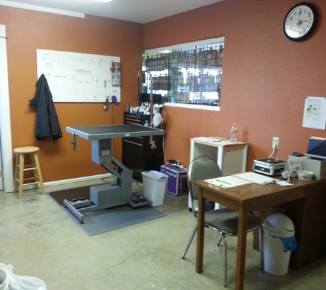 Painted Paws grooming Spa - Mcminnville, OR