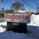 Dogtopia Of Birmingham