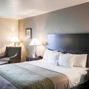 Comfort Inn & Suites Mansfield - Motels