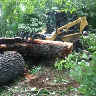 Chattanooga Tree Care - Chattanooga, TN