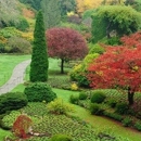 Lawnscapes, Inc. - Landscape Contractors