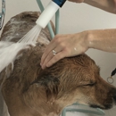 Shawnee Dogs' Grooming - Pet Grooming