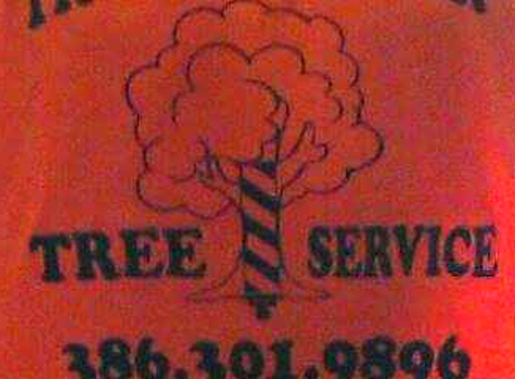 Tree Barber - New Smyrna Beach, FL