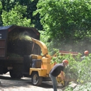 Northern Essex Tree Service - Tree Service