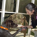 Perfect Paws - Pet Grooming