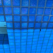 Gallery Image Number 1