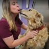 Slatersville Veterinary Clinic gallery