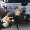 Trutech Wildlife Service gallery