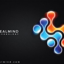 Realmind Technology, Inc - Computer Network Design & Systems